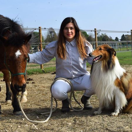 La Tenuta Va Oltre Bovolenta Kültér fotó