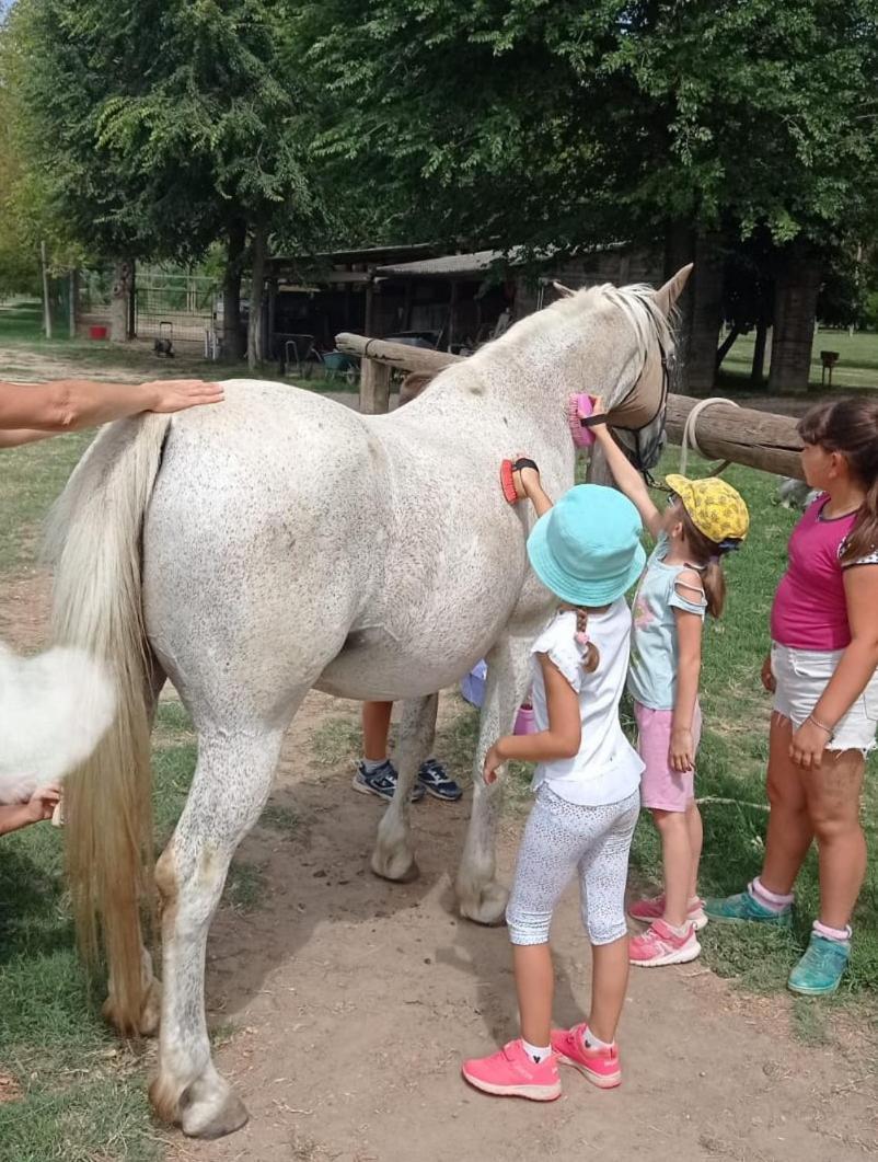 La Tenuta Va Oltre Villa Bovolenta Kültér fotó